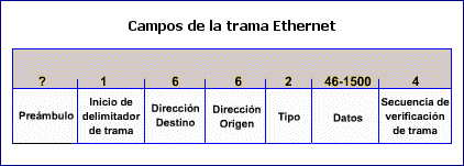 Campos de la trama Ethernet